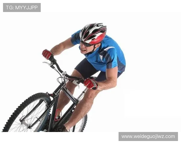 多米体育如何打造专业化体育内容平台满足不同用户的多样需求