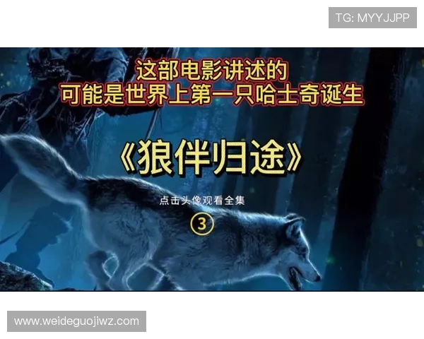 爱奇艺体育官网网页版在线观看高清电影电视剧的最佳操作技巧与常见问题解决方案 爱奇艺体育官网网页版在线观看高清电影电视剧的最佳操作技巧与常见问题解决方案